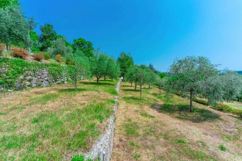 Villa a Arona, Novara, Arona - € 1.980.000 | Ref: T915-250650 - foto 11