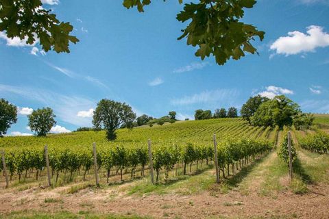 Villa i Fermignano, Pesaro and Urbino, Fermignano - € 870.000 | Ref: ila-436-254048 - foto 33