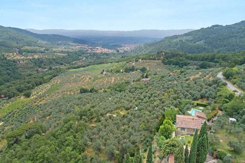 Villa i Loro Ciuffenna, Arezzo, Loro Ciuffenna - € 1.200.000 | Ref: ila-445-254401 - foto 2