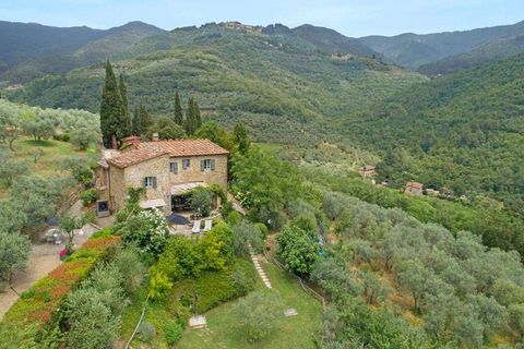 Villa i Loro Ciuffenna, Arezzo, Loro Ciuffenna - € 1.200.000 | Ref: ila-445-254401 - foto 5