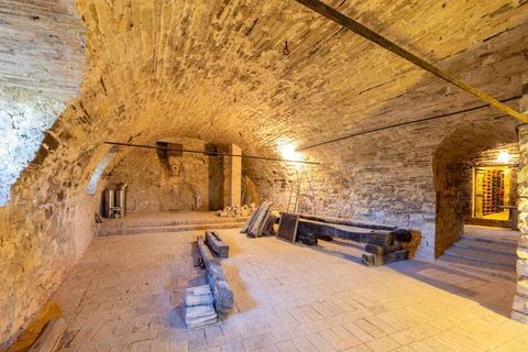 Villa a Montecchio, Terni, Montecchio - € 3.550.000 | Ref: ila-404-254787 - foto 42