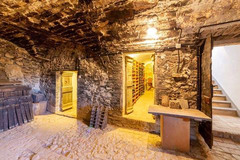 Villa a Montecchio, Terni, Montecchio - € 3.550.000 | Ref: ila-404-254787 - foto 43