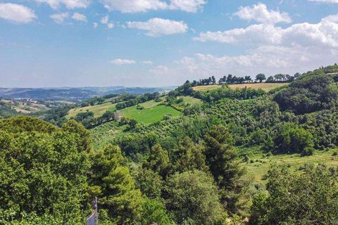 Villa a Cartoceto, Pesaro and Urbino, Cartoceto - € 2.400.000 | Ref: ila-360-255609 - foto 6