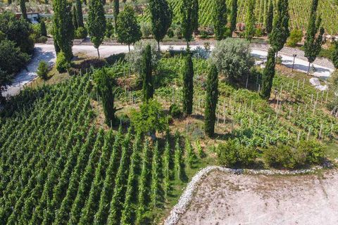 Villa a Cartoceto, Pesaro and Urbino, Cartoceto - € 2.400.000 | Ref: ila-360-255609 - foto 7