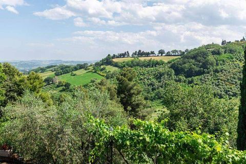 Villa a Cartoceto, Pesaro and Urbino, Cartoceto - € 2.400.000 | Ref: ila-360-255609 - foto 45