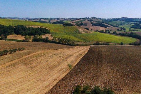 Villa a Ancona, Ancona, Ancona - € 2.300.000 | Ref: ila-202-256120 - foto 41