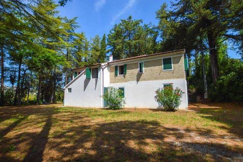 Villa a Ancona, Ancona, Ancona - € 370.000 | Ref: ila-237-256172 - foto 3