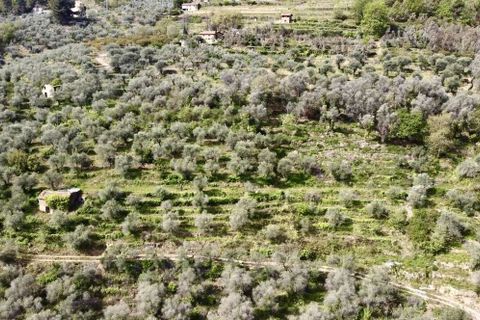 Villa a Dolceacqua, Imperia, Dolceacqua - € 200.000 | Ref: T177-259871 - foto 15