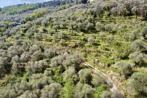 Villa a Dolceacqua, Imperia, Dolceacqua - € 200.000 | Ref: T177-259871 - foto 16