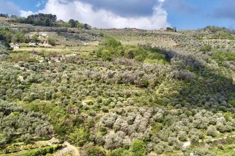 Villa a Dolceacqua, Imperia, Dolceacqua - € 200.000 | Ref: T177-259871 - foto 17