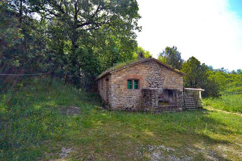 Villa i Parrano, Terni, Parrano - € 75.000 | Ref: OR5330M-260016 - foto 18