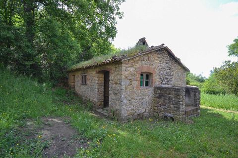 Villa i Parrano, Terni, Parrano - € 75.000 | Ref: OR5330M-260016 - foto 19