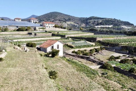 Villa i Bordighera, Imperia, Bordighera - € 450.000 | Ref: T213-356992 - foto 3