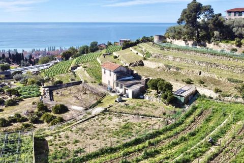Villa i Bordighera, Imperia, Bordighera - € 450.000 | Ref: T213-356992 - foto 5
