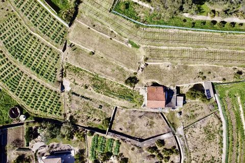 Villa i Bordighera, Imperia, Bordighera - € 450.000 | Ref: T213-356992 - foto 6