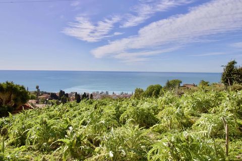 Villa i Bordighera, Imperia, Bordighera - € 450.000 | Ref: T213-356992 - foto 8
