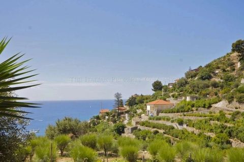 Villa i Ospedaletti, Imperia, Ospedaletti - € 690.000 | Ref: E250-357042 - foto 4