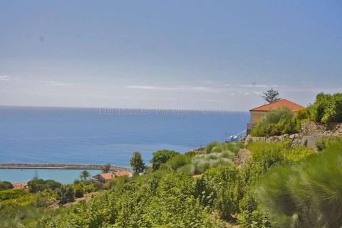 Villa i Ospedaletti, Imperia, Ospedaletti - € 690.000 | Ref: E250-357042 - foto 5