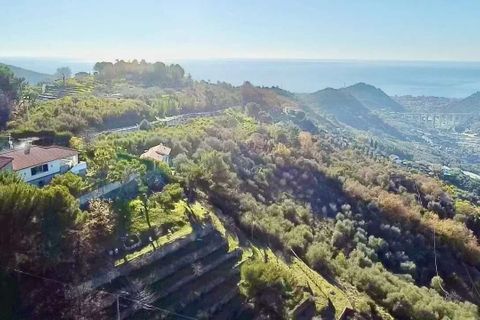Villa a Vallebona, Imperia, Vallebona - € 695.000 | Ref: E291-357097 - foto 4