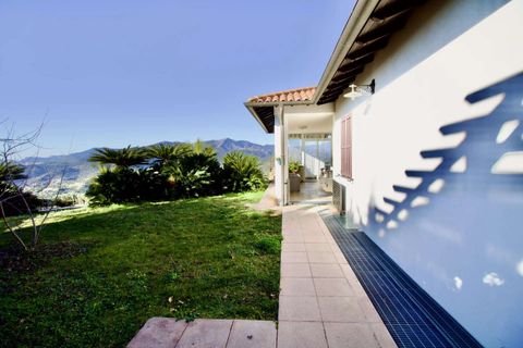 Villa a Vallebona, Imperia, Vallebona - € 695.000 | Ref: E291-357097 - foto 13