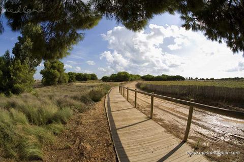 Lejlighed i La Mata, Alicante, La Mata - € 565.000 | Ref: N-6470953 - foto 12