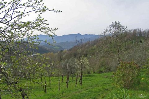 Villa a Pontremoli, Massa and Carrara, Pontremoli - € 790.000 | Ref: 334-438745 - foto 18