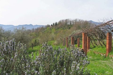 Villa a Pontremoli, Massa and Carrara, Pontremoli - € 790.000 | Ref: 334-438745 - foto 19