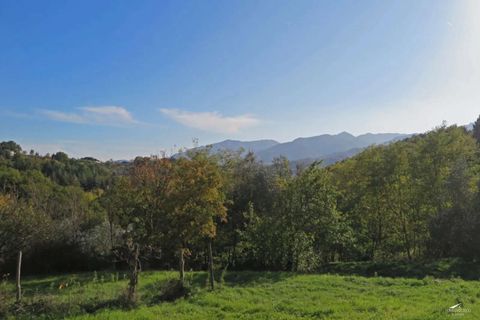 Villa a Pontremoli, Massa and Carrara, Pontremoli - € 790.000 | Ref: 334-438745 - foto 21