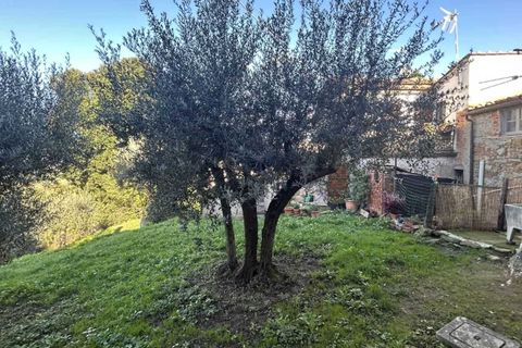 Villa a Paciano, Perugia, Paciano - € 115.000 | Ref: PA5265M-441325 - foto 11