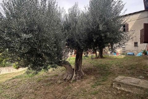 Villa a Paciano, Perugia, Paciano - € 115.000 | Ref: PA5265M-441325 - foto 15