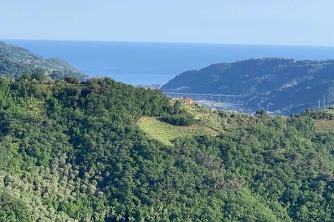 Villa a Dolceacqua, Imperia, Dolceacqua - € 550.000 | Ref: D435-444131 - foto 2