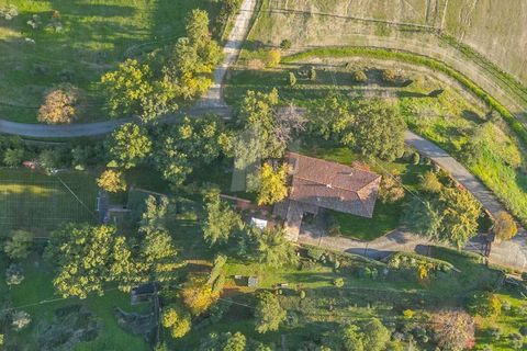 Villa i Arezzo, Arezzo, Arezzo - € 1.400.000 | Ref: ila-519-448784 - foto 6