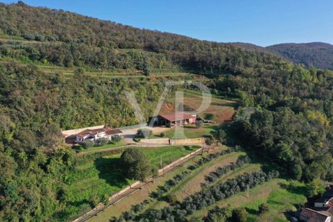 Villa a Val Liona, Vicenza, Val Liona - € 790.000 | Ref: IT 24 355 1447-453060 - foto 3