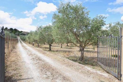 Villa i Ragusa, Ragusa, Ragusa - € 310.000 | Ref: VM!-456102 - foto 5
