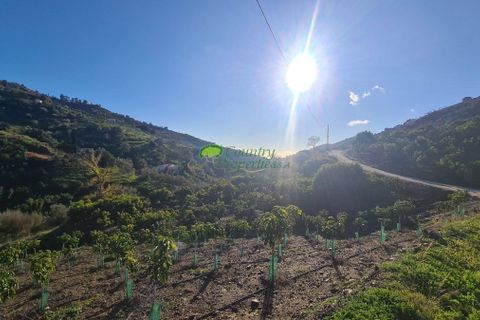 Landejendom i Competa, Malaga, Competa - € 261.000 | Ref: 7868 - foto 19