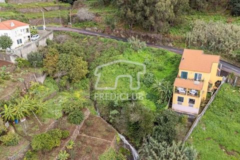 Terra a Ribeira Brava, Madeira, Ribeira Brava - € 80.000 | Ref: 11524-DF - foto 2