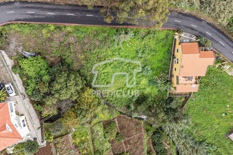 Terra a Ribeira Brava, Madeira, Ribeira Brava - € 80.000 | Ref: 11524-DF - foto 3