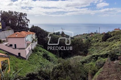Terra a Ribeira Brava, Madeira, Ribeira Brava - € 80.000 | Ref: 11524-DF - foto 4