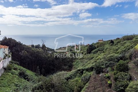Terra a Ribeira Brava, Madeira, Ribeira Brava - € 80.000 | Ref: 11524-DF - foto 5