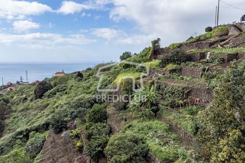 Terra a Ribeira Brava, Madeira, Ribeira Brava - € 80.000 | Ref: 11524-DF - foto 6