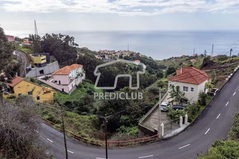 Terra a Ribeira Brava, Madeira, Ribeira Brava - € 80.000 | Ref: 11524-DF - foto 7