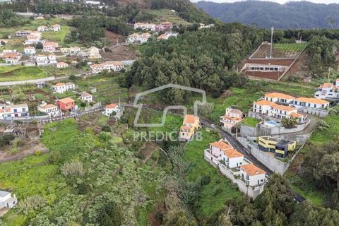Terra a Ribeira Brava, Madeira, Ribeira Brava - € 80.000 | Ref: 11524-DF - foto 8
