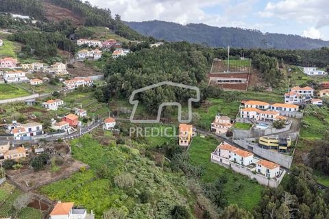 Terra a Ribeira Brava, Madeira, Ribeira Brava - € 80.000 | Ref: 11524-DF - foto 9