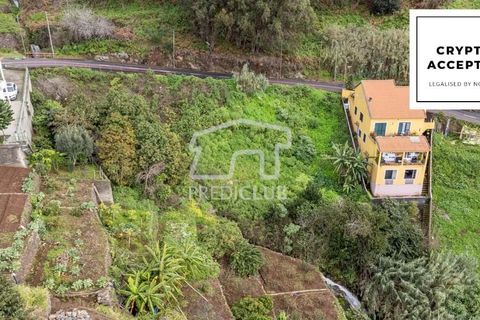 Terra a Ribeira Brava, Madeira, Ribeira Brava - € 80.000 | Ref: 11524-DF - foto 1