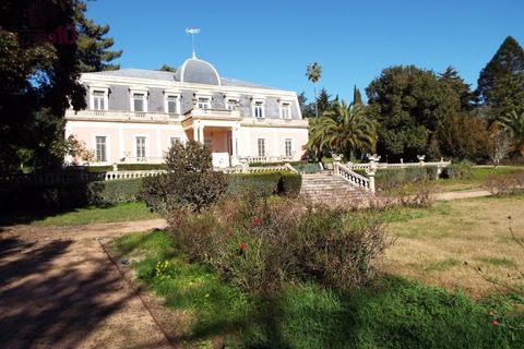 Villa i Elvas, Portalegre, Elvas - € 8.500.000 | Ref: PAL_3004 - foto 4