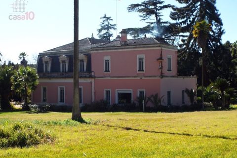 Villa i Elvas, Portalegre, Elvas - € 8.500.000 | Ref: PAL_3004 - foto 7