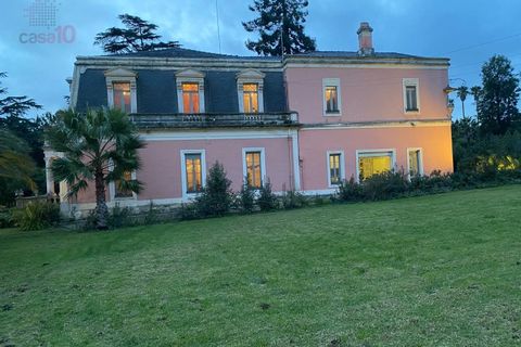Villa i Elvas, Portalegre, Elvas - € 8.500.000 | Ref: PAL_3004 - foto 10