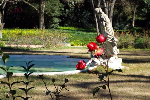 Villa i Elvas, Portalegre, Elvas - € 8.500.000 | Ref: PAL_3004 - foto 13