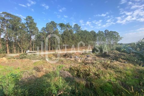 Helårsgrund i Barro, Aveiro, Barro - € 50.000 | Ref: 82/2024 - foto 3