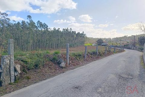 Helårsgrund i Barcelos, Braga, Barcelos - € 135.000 | Ref: 1811 - foto 2